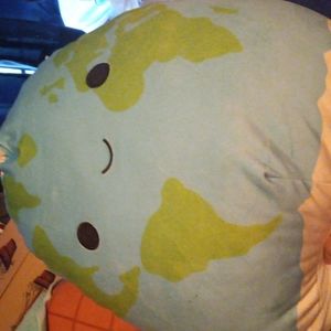 Roman the earth squishmallow